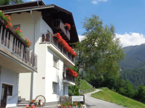 Edelweiss, Matrei In Osttirol, Österreich, Matrei In Osttirol, Österreich